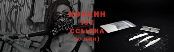 тгк Арсеньев