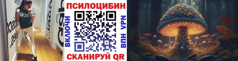 Псилоцибиновые грибы мицелий  закладки  Чердынь 